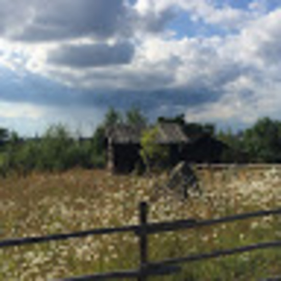 Meet your Posher, Angie - Picture 1 of 1